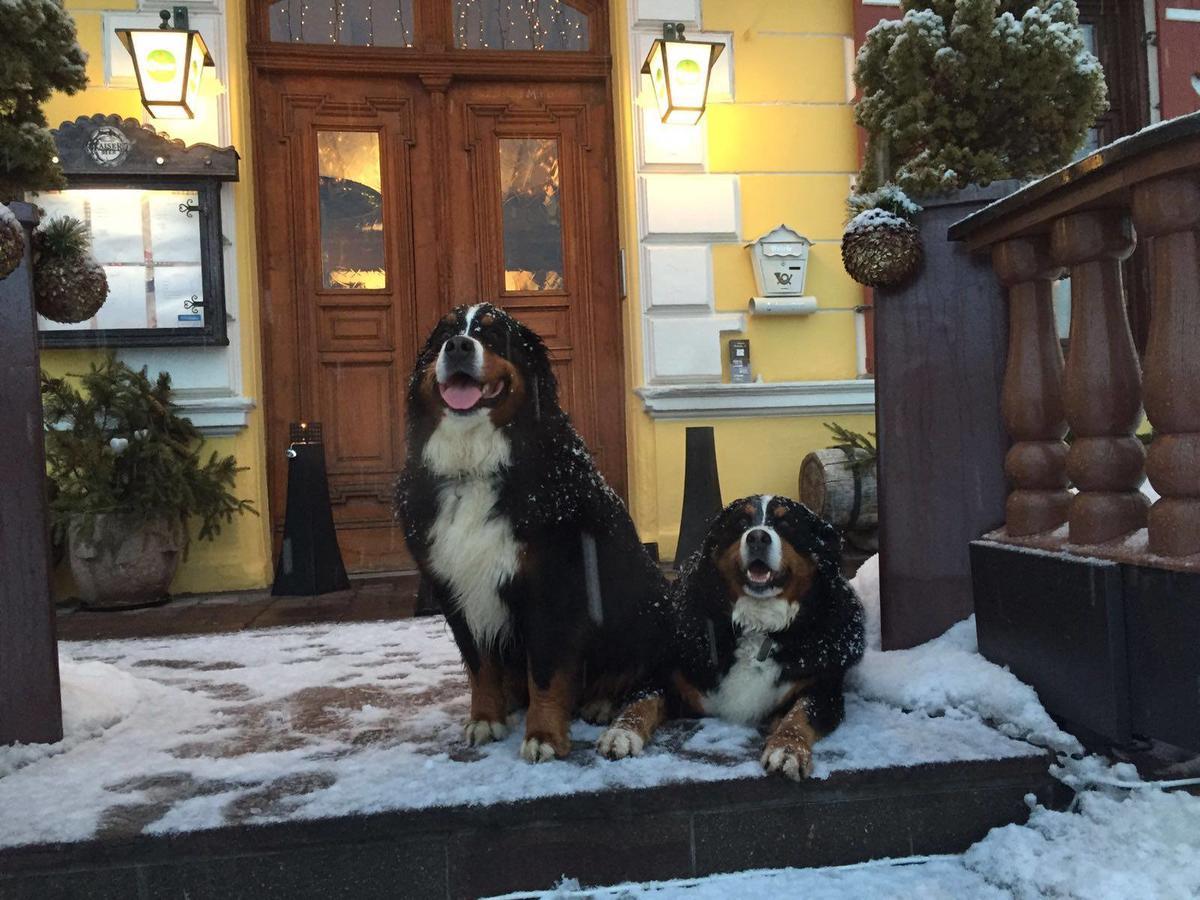 Hotel Gasthof Post Брук-ан-дер-Гросглокнерштрасе Екстер'єр фото